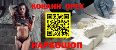соль ск Будённовск